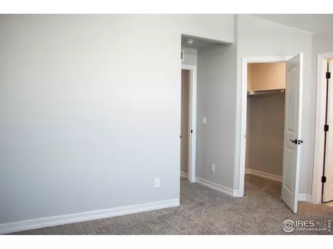 5261 Kellan Ct, Timnath, CO 80547 photo 35