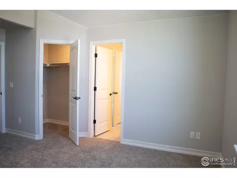 5261 Kellan Ct, Timnath, CO 80547 photo 37