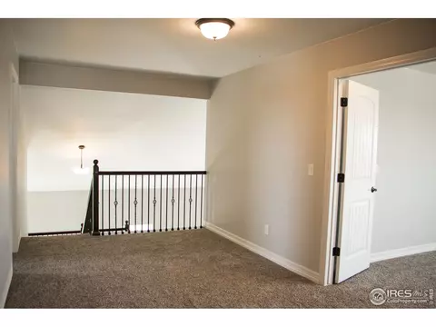 5261 Kellan Ct, Timnath, CO 80547 photo 32
