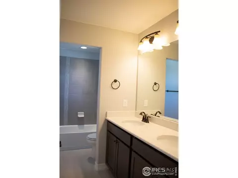 5261 Kellan Ct, Timnath, CO 80547 photo 36