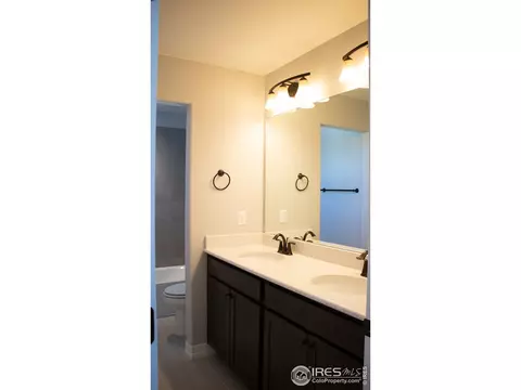 5261 Kellan Ct, Timnath, CO 80547 photo 34