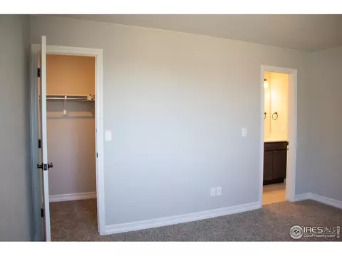 5261 Kellan Ct, Timnath, CO 80547 photo 38