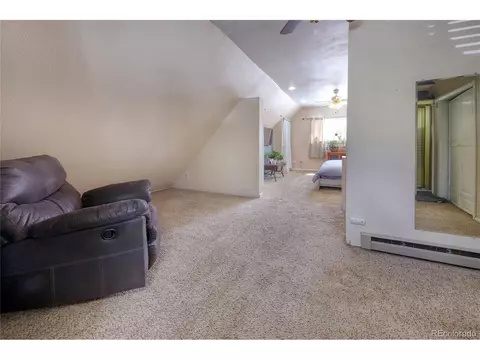 397 Will Scarlet Dr, Divide, CO 80814 photo 26