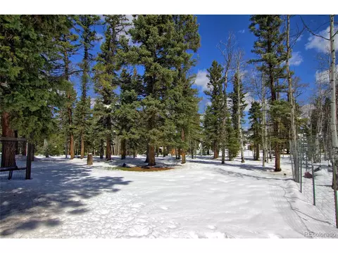 397 Will Scarlet Dr, Divide, CO 80814 photo 30