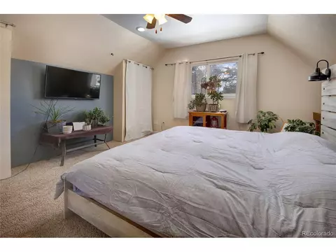 397 Will Scarlet Dr, Divide, CO 80814 photo 21