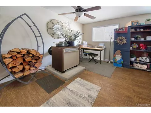 397 Will Scarlet Dr, Divide, CO 80814 photo 9