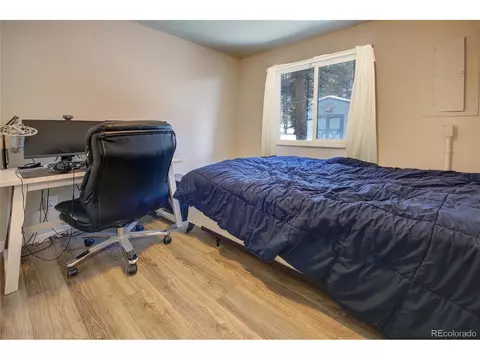 397 Will Scarlet Dr, Divide, CO 80814 photo 17