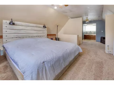 397 Will Scarlet Dr, Divide, CO 80814 photo 20