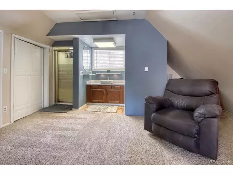 397 Will Scarlet Dr, Divide, CO 80814 photo 23