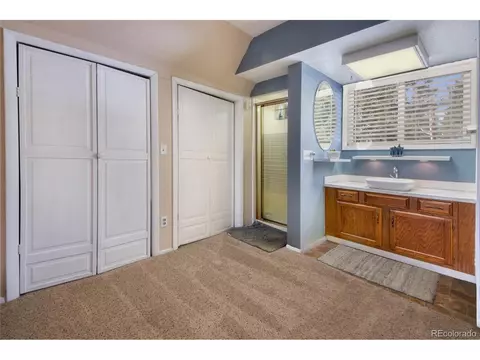397 Will Scarlet Dr, Divide, CO 80814 photo 24