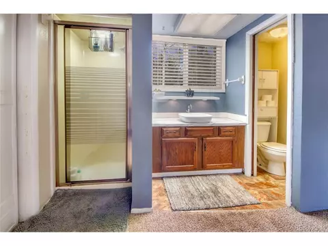 397 Will Scarlet Dr, Divide, CO 80814 photo 25