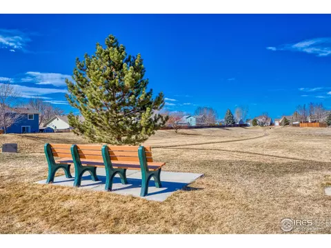 172 Adams Way, Firestone, CO 80520 photo 9