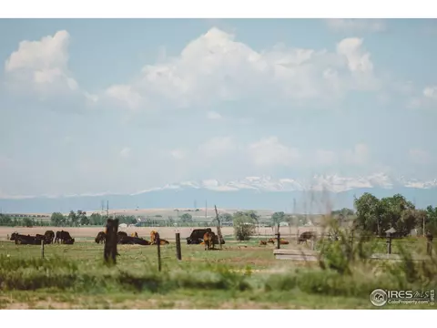 706 Mountain Ave, Pierce, CO 80650 photo 33