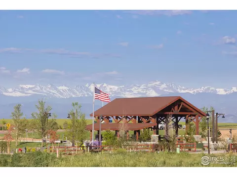 1798 Summer Bloom Dr, Windsor, CO 80550 photo 22