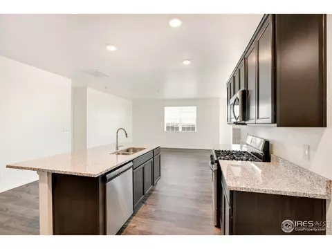 1727 Summer Bloom Dr, Windsor, CO 80550 photo 14