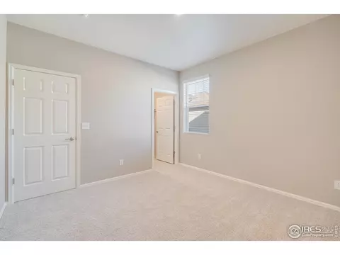 1987 Floret Dr, Windsor, CO 80550 photo 16