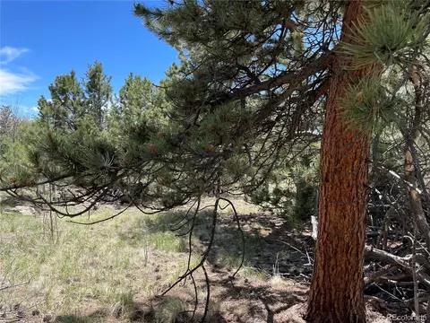 55 Deer Ct, Como, CO 80432 photo 5