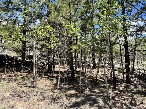55 Deer Ct, Como, CO 80432 photo 8
