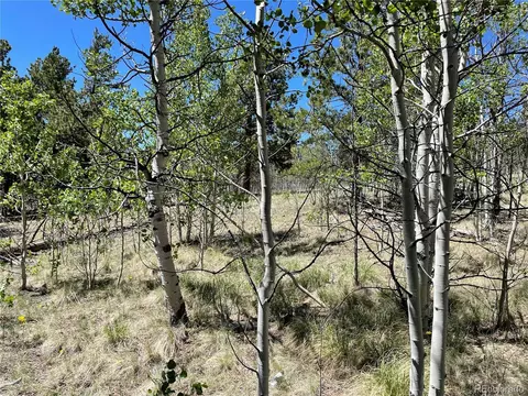 55 Deer Ct, Como, CO 80432 photo 3
