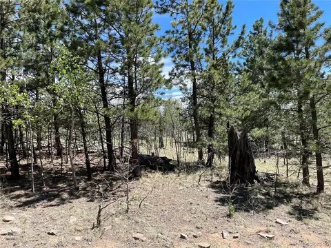 55 Deer Ct, Como, CO 80432 photo 7