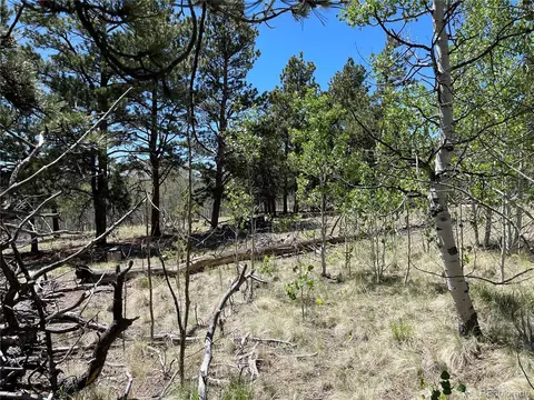 55 Deer Ct, Como, CO 80432 photo 6