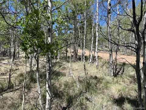 55 Deer Ct, Como, CO 80432 photo 4