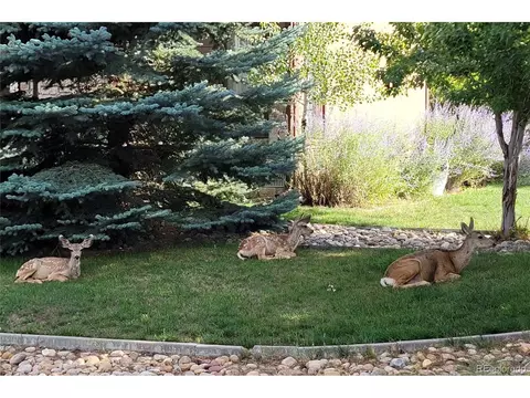 15786 Bunker Way, Morrison, CO 80465 photo 40