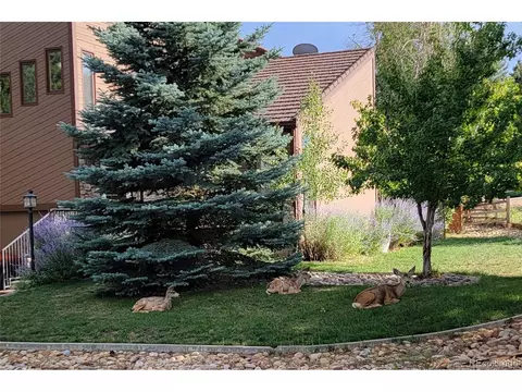 15786 Bunker Way, Morrison, CO 80465 photo 33