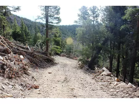 4 Lamertine Rd, Idaho Springs, CO 80452