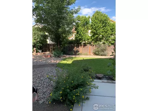 6292 Gorham St, Frederick, CO 80530 photo 30