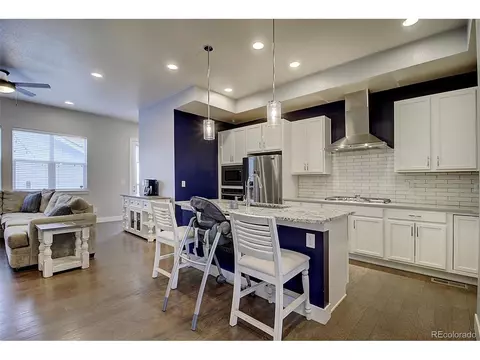 10175 E 59th Ave, Denver, CO 80238 photo 12