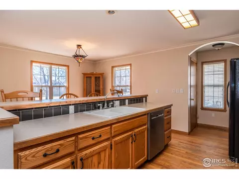 306 E Michigan Ave, Berthoud, CO 80513 photo 8