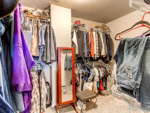 934 Mt Andrew Dr, Windsor, CO 80550 photo 23