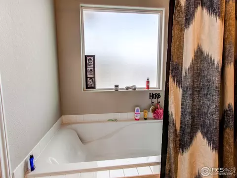 934 Mt Andrew Dr, Windsor, CO 80550 photo 21