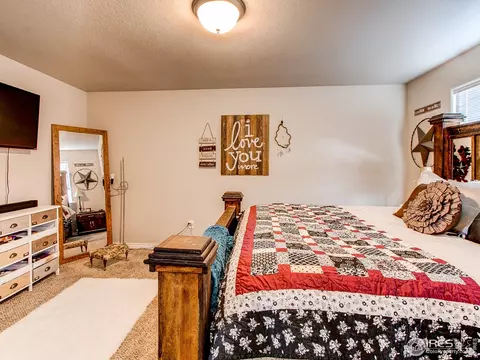 934 Mt Andrew Dr, Windsor, CO 80550 photo 19