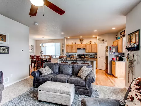 934 Mt Andrew Dr, Windsor, CO 80550 photo 10