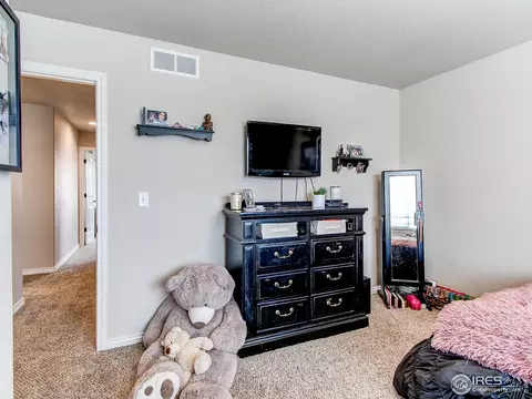 934 Mt Andrew Dr, Windsor, CO 80550 photo 25