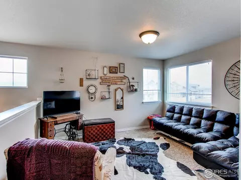 934 Mt Andrew Dr, Windsor, CO 80550 photo 15
