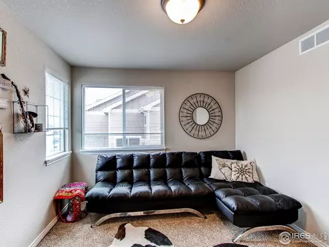 934 Mt Andrew Dr, Windsor, CO 80550 photo 14