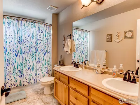 934 Mt Andrew Dr, Windsor, CO 80550 photo 28