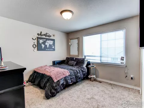 934 Mt Andrew Dr, Windsor, CO 80550 photo 24