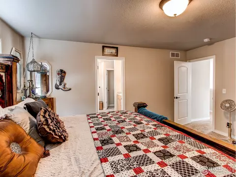 934 Mt Andrew Dr, Windsor, CO 80550 photo 18
