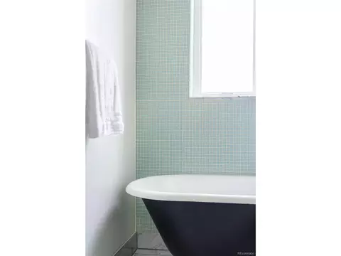 821 E 22nd Ave, Denver, CO 80205 photo 26