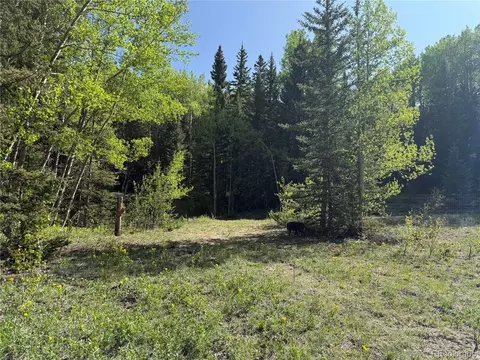 6843 Ryland Rd, Fort Garland, CO 81133