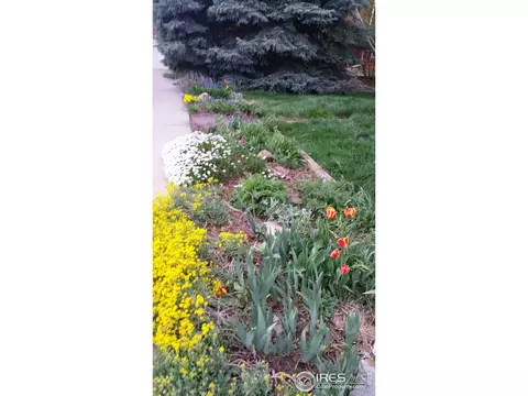 685 Utica Ave, Boulder, CO 80304 photo 32