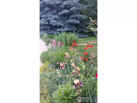 685 Utica Ave, Boulder, CO 80304 photo 31