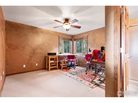 155 Rockledge Cir, Allenspark, CO 80510 photo 20