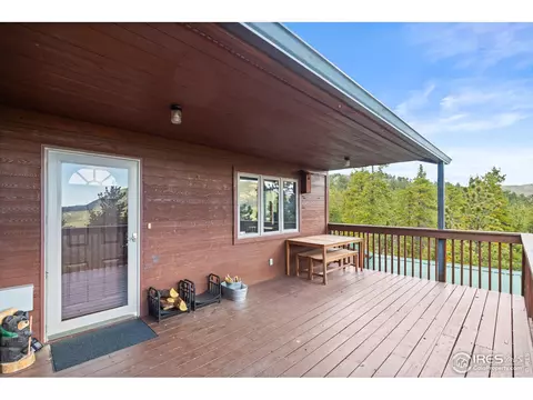 155 Rockledge Cir, Allenspark, CO 80510 photo 29