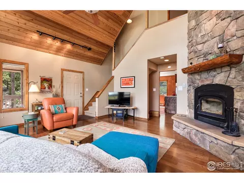 155 Rockledge Cir, Allenspark, CO 80510 photo 5