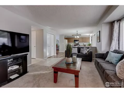 838 E 133rd Ave, Thornton, CO 80241 photo 18